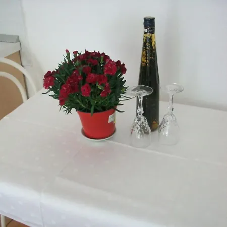Guest house Niki